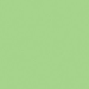 Meet your Posher, Carly